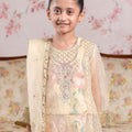 3 Piece Embroidered Organza