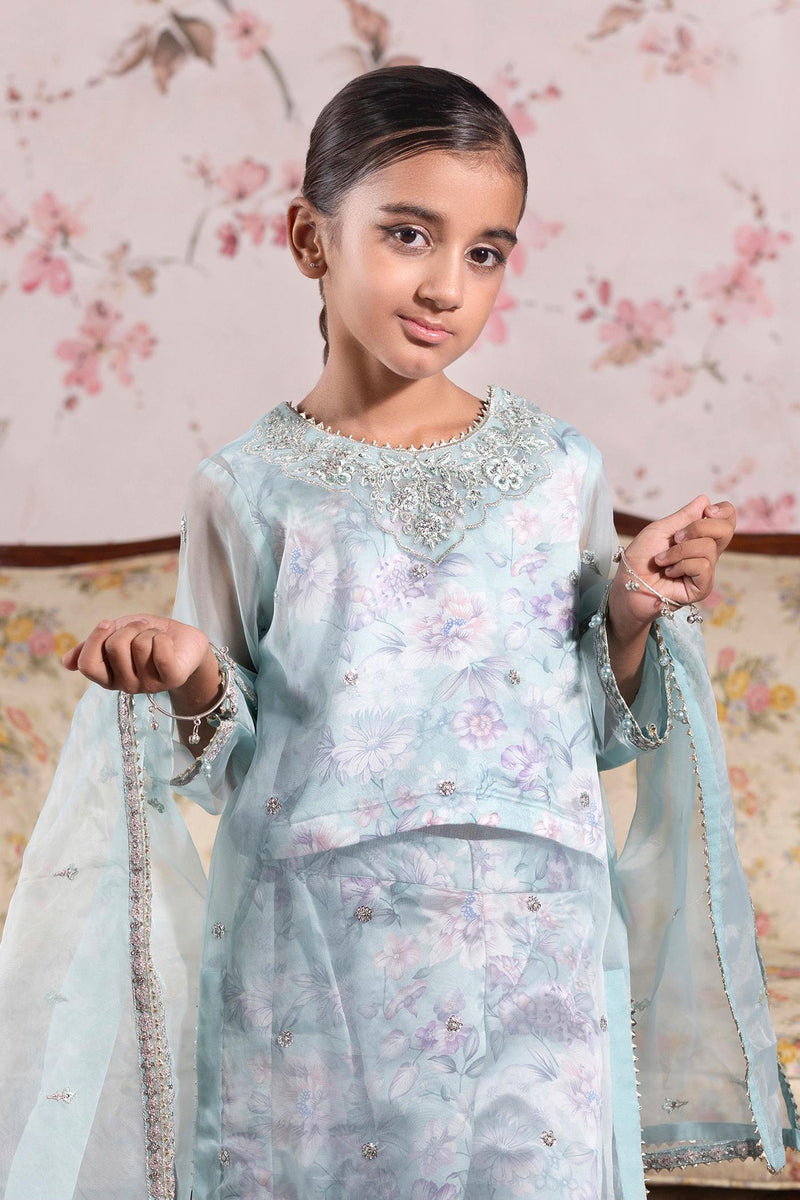 3 Piece Embroidered Organza