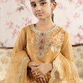 3 Piece Embroidered Organza