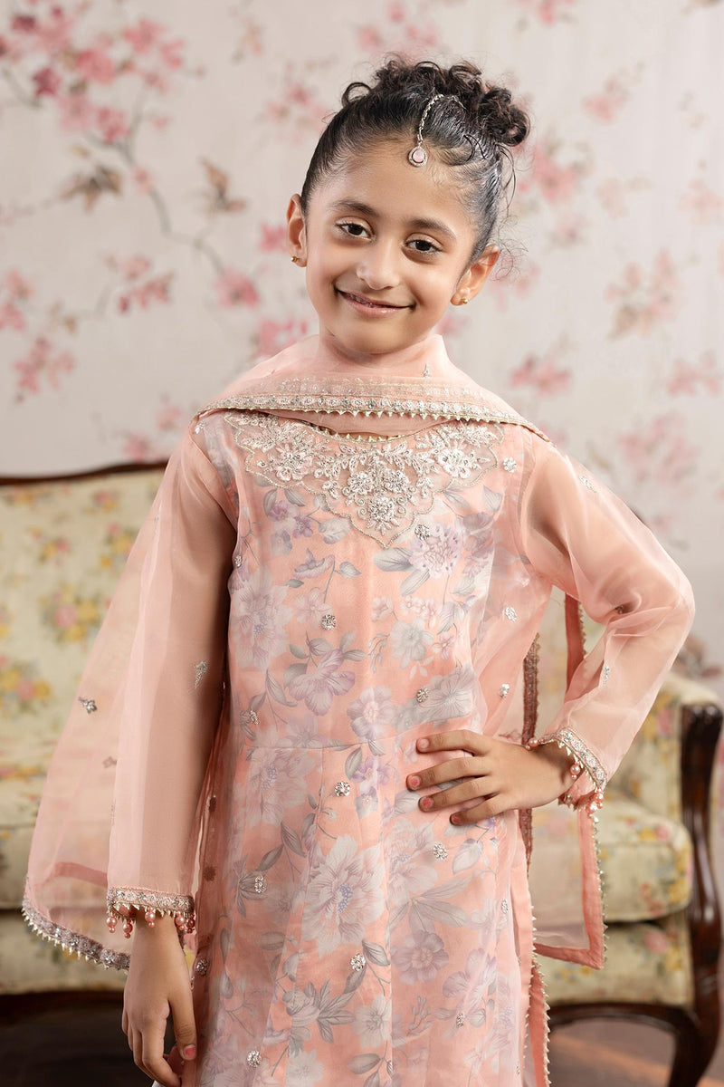 3 Piece Embroidered Organza