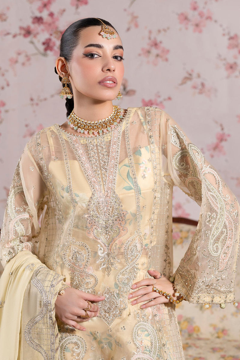 3 Piece Embroidered Organza
