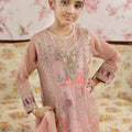 3 Piece Embroidered Organza