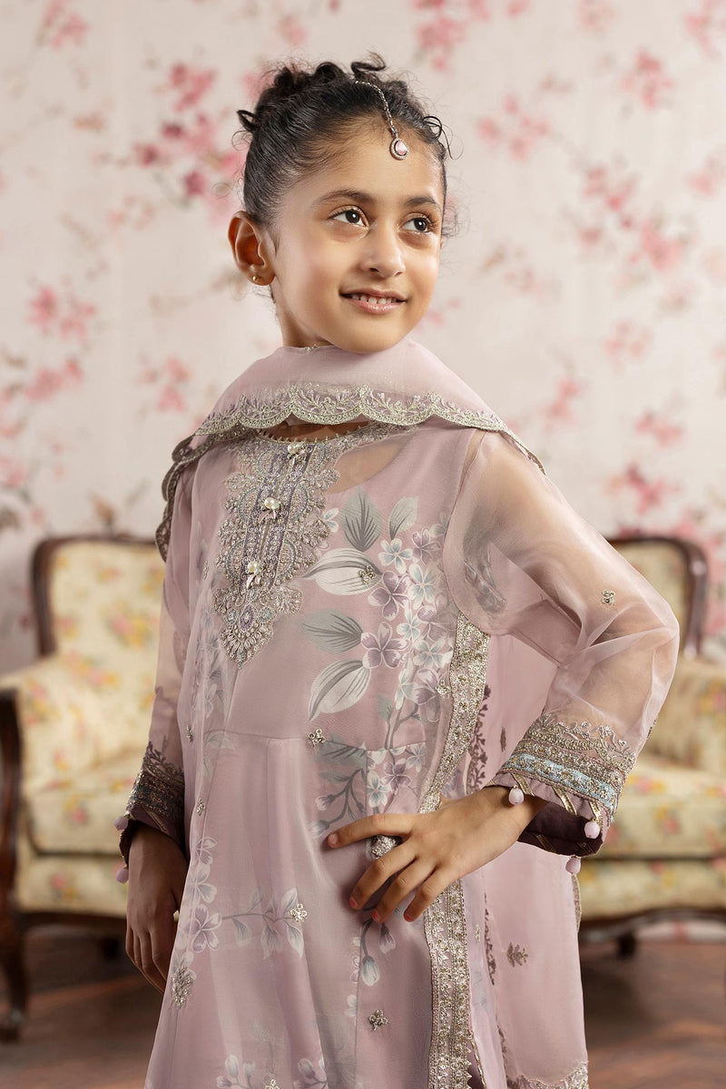 3 Piece Embroidered Organza